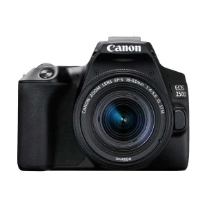 Canon EOS 250D Body with EF-S 18-55mm f/4-5.6 IS STM Lens (Black)