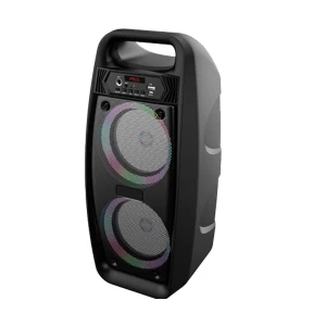Havit SQ108BT Black Portable Bluetooth Speaker