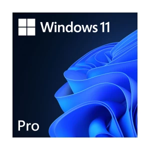 Microsoft Windows 11 Professional 64 Bit ENG Intl 1PK DSP OEI DVD (PC OS) #FQC-10528