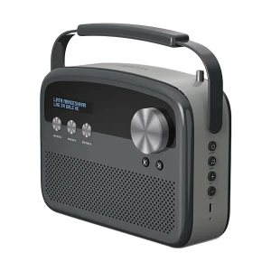 Saregama Carvaan Lite - Hindi - (3000 Song, Bluetooth, Radio) Graphite Grey Portable Music Player Without Remote Control & Adapter (No Warranty)
