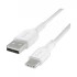Belkin USB Male to Type-C Male USB Cable