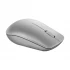 Lenovo 530 Platinum Grey (Silver) Wireless Mouse #GY50Z18984-3Y